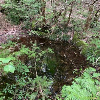 金太郎の産湯の池