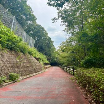 ここから つくはらキャビンまで遊歩道 徒歩18分