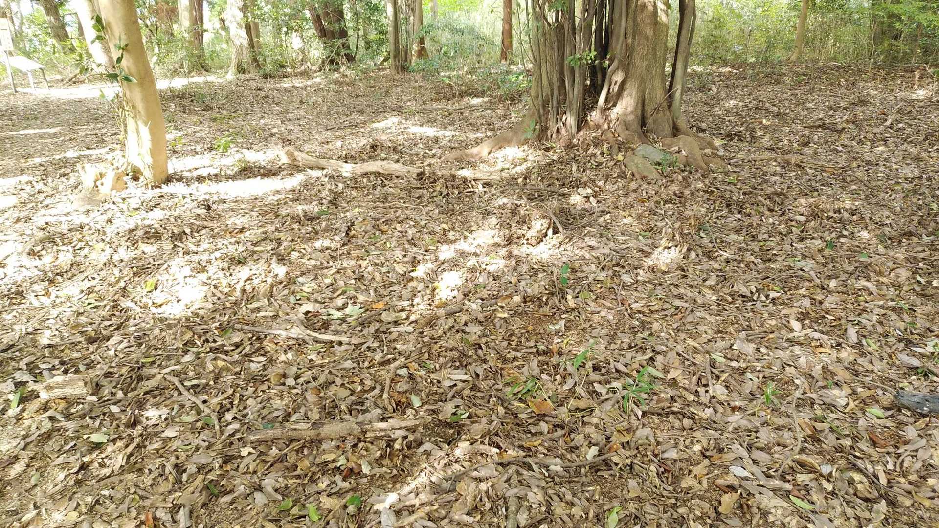 廓跡