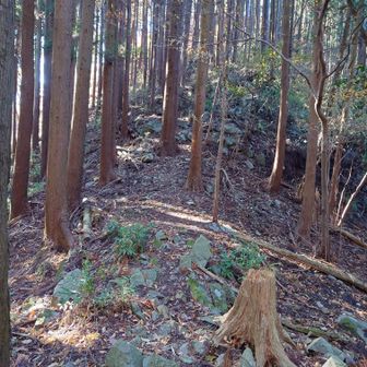 一旦鞍部まで下りてきました。