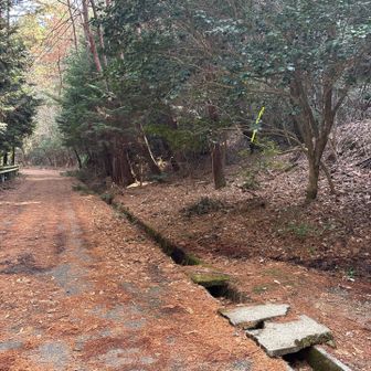 目が覚め申した