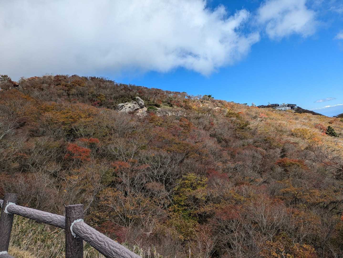 中登山口-武平峠-武平トンネル東登山口 周回コースの写真