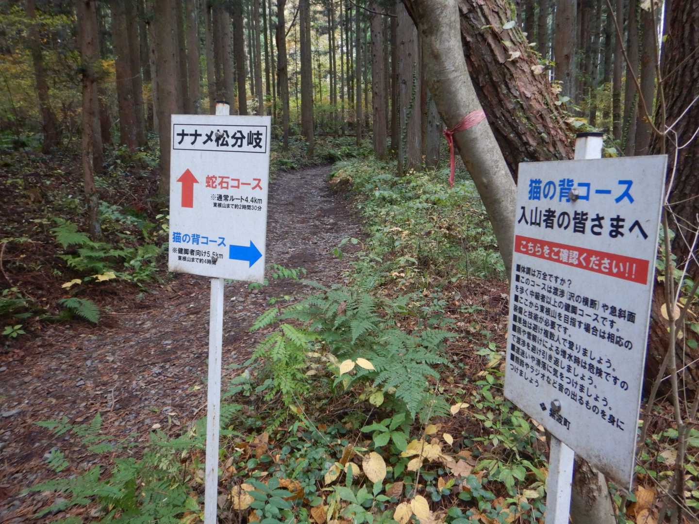 一周しました🔄