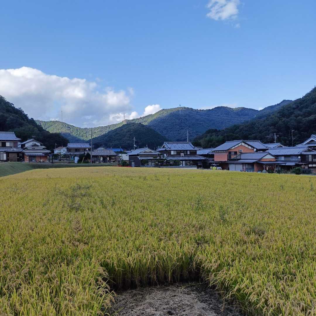 向こうの山並みぐるっと歩いて来たんだよね🤗