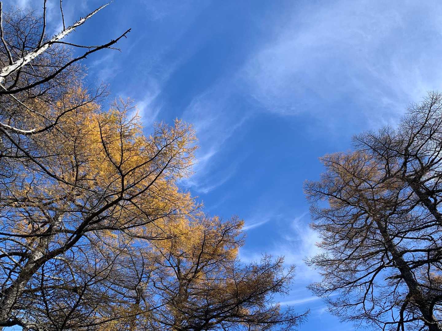 旅の空
きれいだ