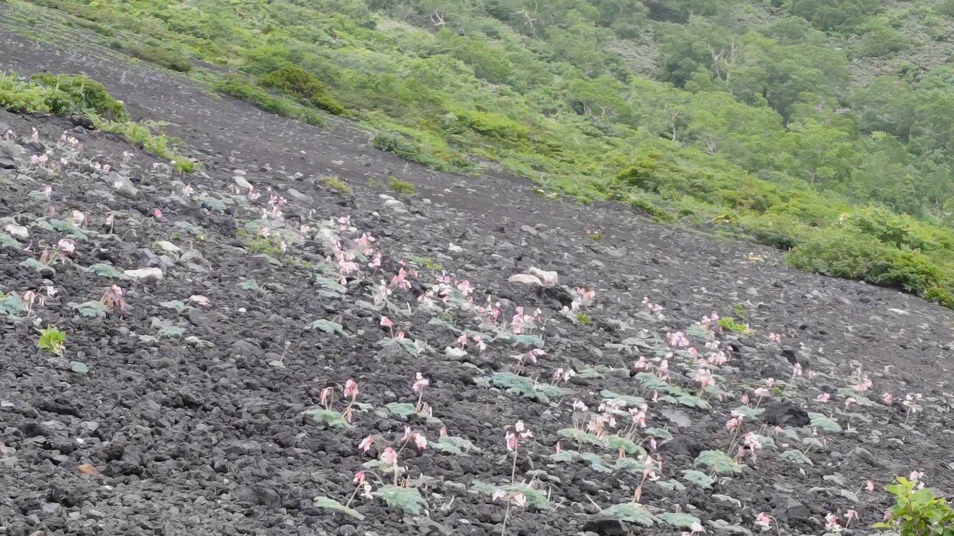 こんなところにも...