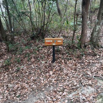 昨日までの三連休は山に行っていなかったため、どうしても登りたい気分になってしまい高尾山を目指します。天気はイマイチでしたが小雨の中スタート🚶
（案内標識の方向が元に戻ってる👀）
