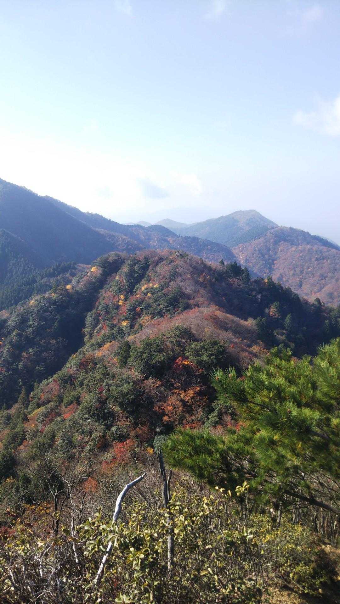 宮指路岳-小社峠-仙ヶ岳 縦走コースの写真