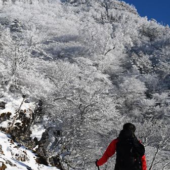 下り道中も
進行方向だけでなく
後ろも振り返って霧氷チェック

そりゃ進まんわ🤣