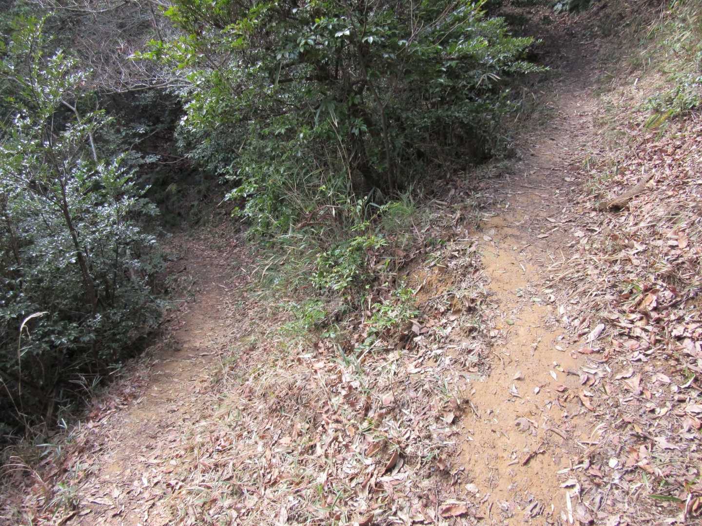 普通に降りていましたが、