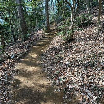 龍崖山山頂まで後少し