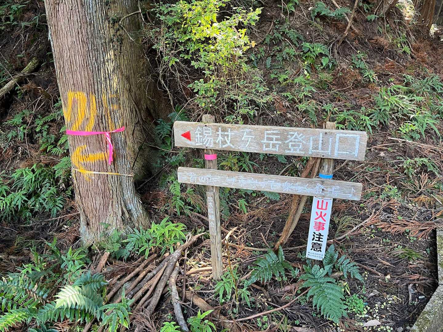 錫杖岳登山口より入山🎶
✳︎ここは柚之木峠入口