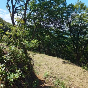 広い作業道にでました。