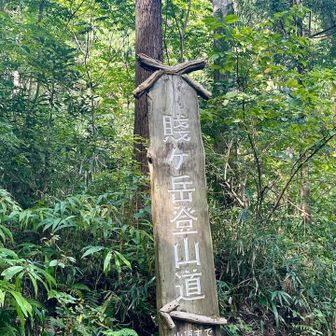賤ヶ岳、登山道🗻
時間があれば、歩いて登りたかったね♪♪