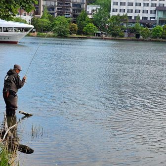 やっと釣れた人を見つけたぁ。
釣れた魚を見せてもらおうと待ってたら、バラしちゃったさ。
残念。