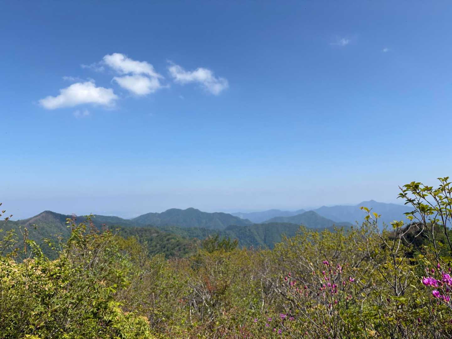 川乗橋バス停-笙ノ岩山-鳥屋戸八丁山-長尾山-蕎麦粒山-横 縦走コースの写真