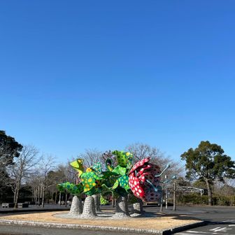 気を取り直し再スタート！
アートの森にもまた行きたいなあ🩷