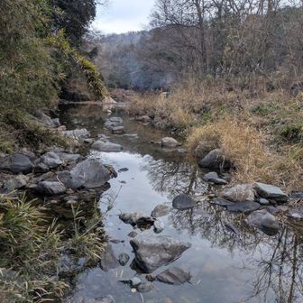 河原沿いに東側へ進んでみました