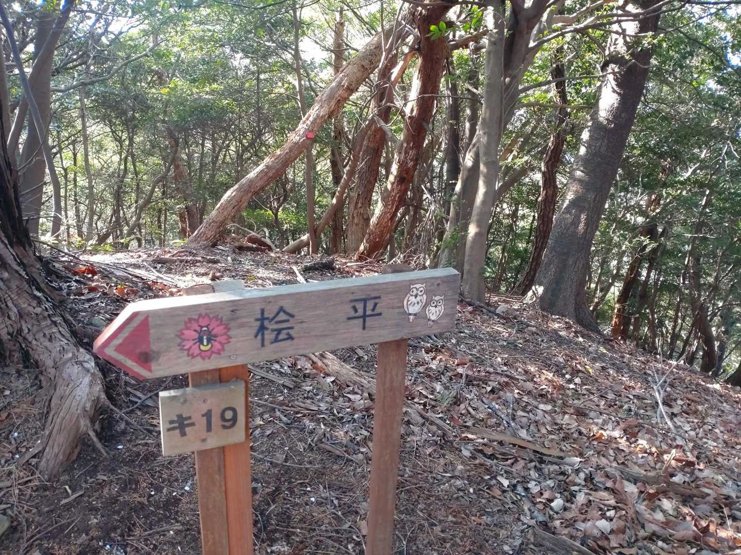 鳥川アルプス 周回コースの写真