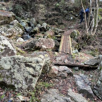 丸太橋がいくつかあります。