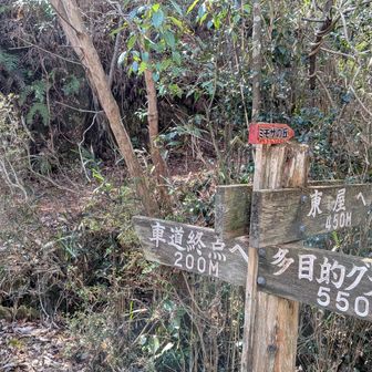 ミモザの丘入口
駐車場に戻りましょう