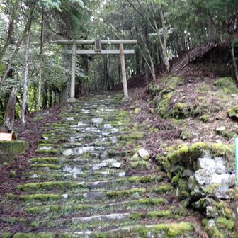 振り返って