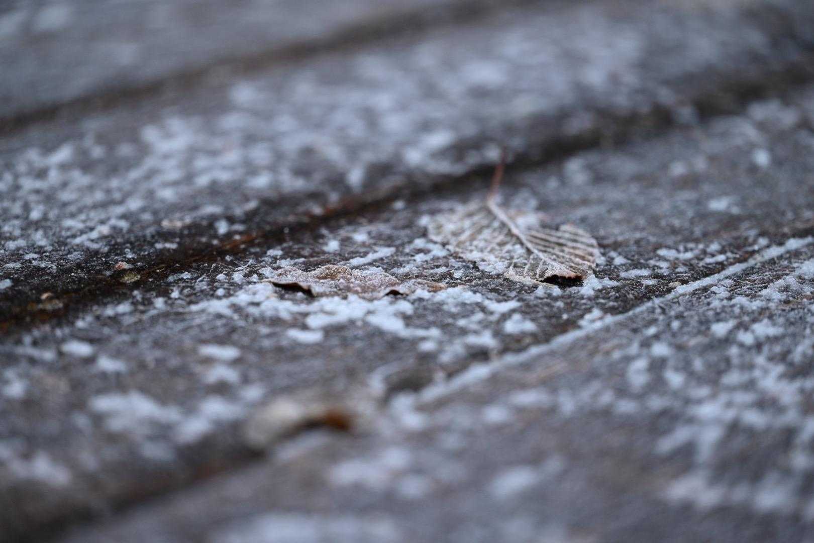 雪景色はアートですよね🎨