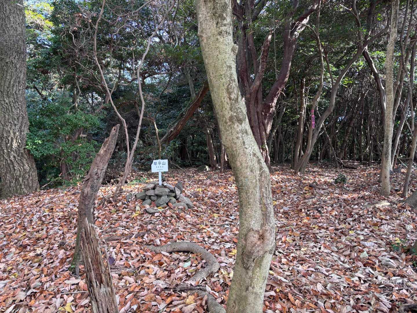 琴平山着。
一度登り切ってしまえば、ほぼ平坦な道に。