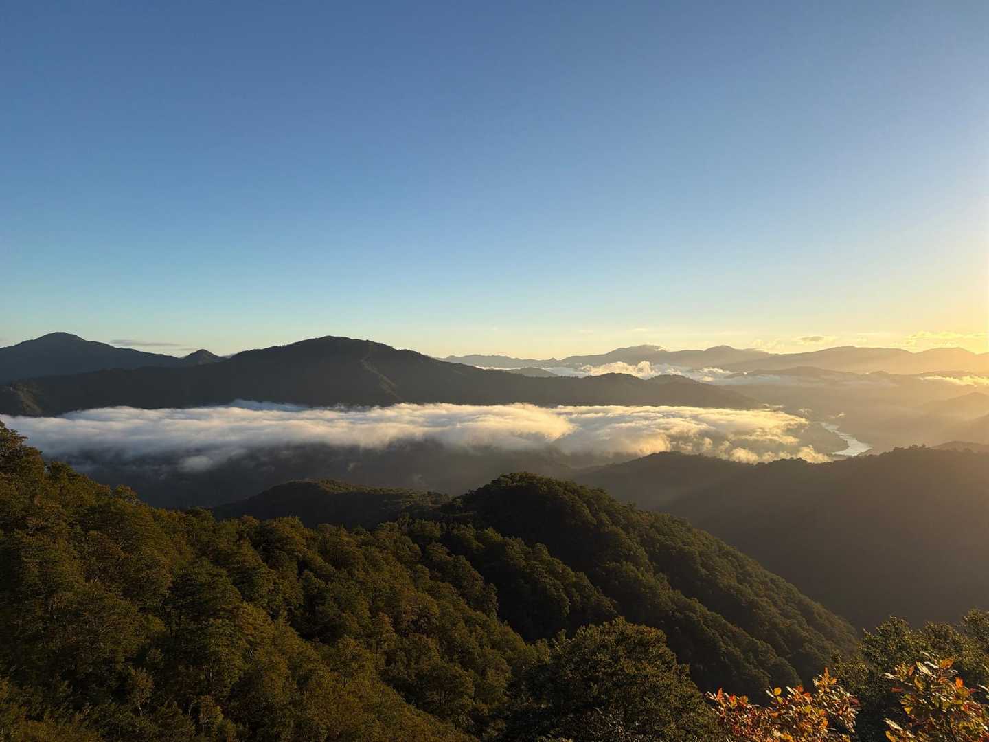 銀山平登山口-前山-前嵓下-前嵓-荒沢岳 往復コースの写真