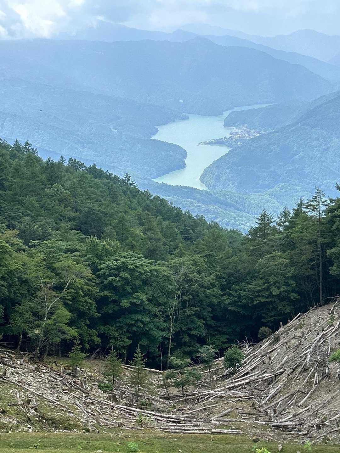 井川湖と井川の集落が見えました🏘️