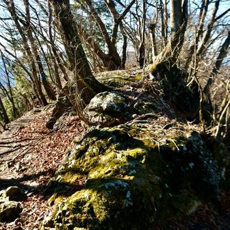 そして東御荷鉾山にもあるミカブーの枕状溶岩🌋

こちらは分かりやすいです♪


