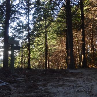 仰木峠まで来ました。ここから縦走路を離れて下山します。