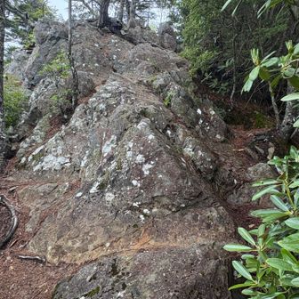 前衛山直下
登る(帰り)はよいよい、下る(行き)はこわい