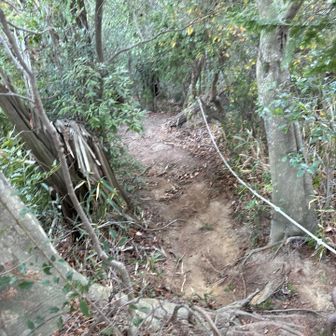 あとは駐車場まで戻るだけ