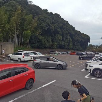 観光エリアに入ってからは涼しい風が復活してました😁

シルバーウィークで、今日も養老の滝エリアは大賑わいです🫡

ヘトヘトのオヂサン達は…少し場違いな空気感でした😂
お疲れ⛰️でした✨