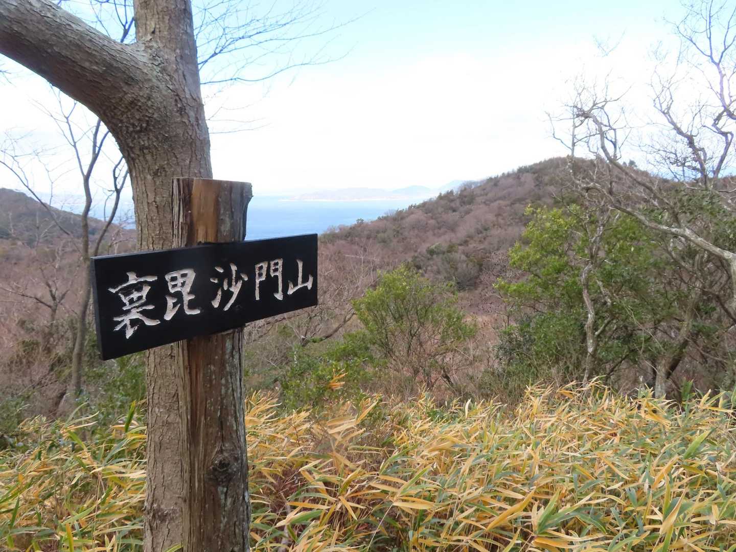 ⑥裏毘沙門山。
🤔なんでこの角度？歩いてきた山を撮ったつもり笑
