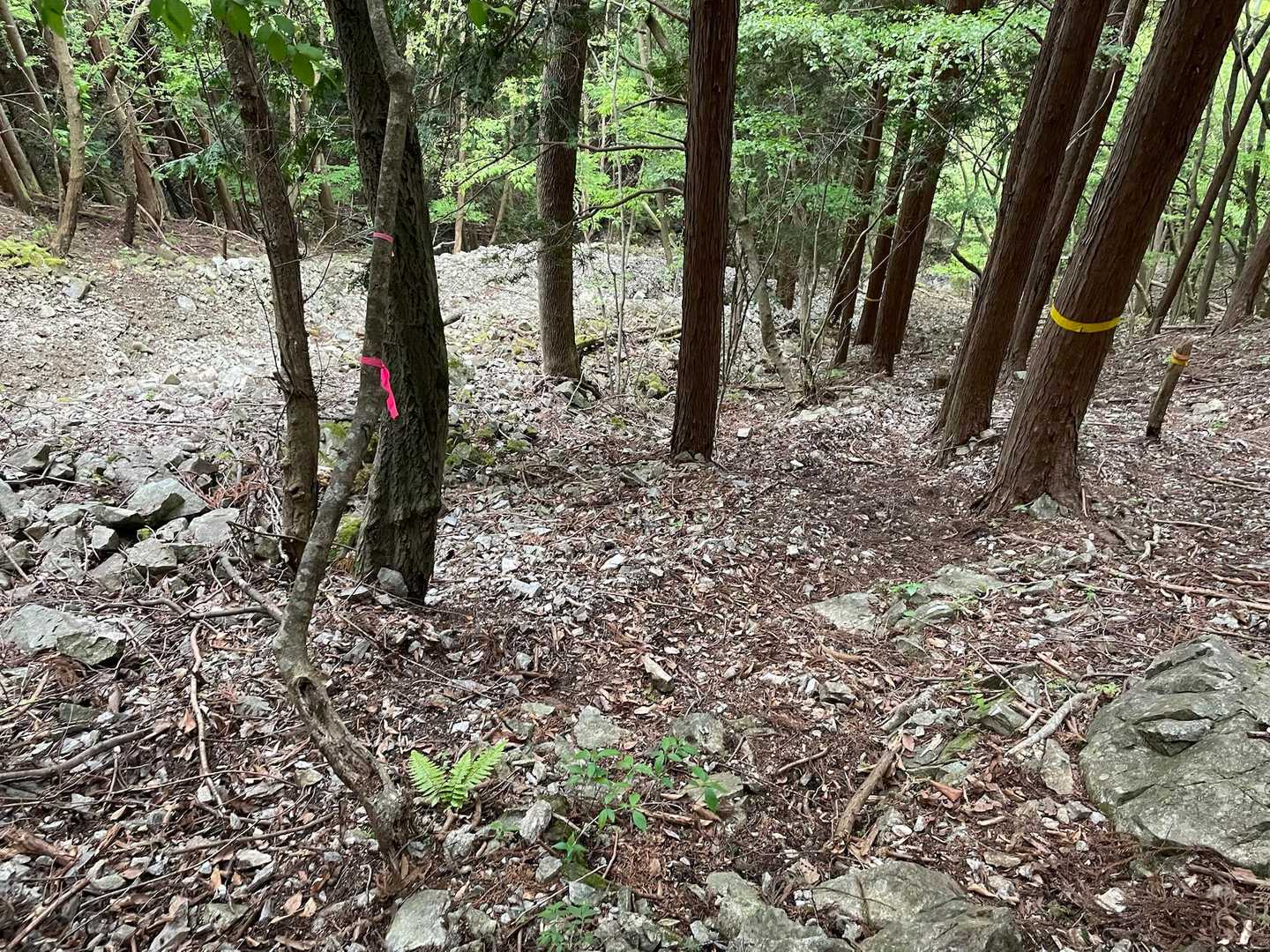 崩落箇所あり。