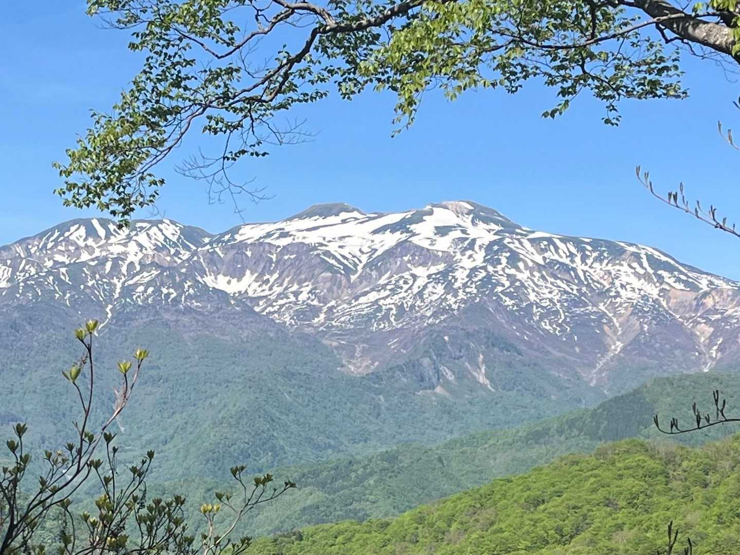 ずっと見ていたい