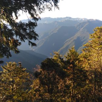 雪がかかっているでしょう