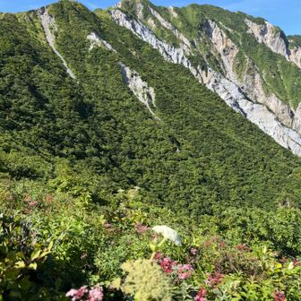 暑いけど日陰は涼しくて三鈷峰は座ってたら少し肌寒い位でした