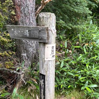 水場チェックにいく元気がない