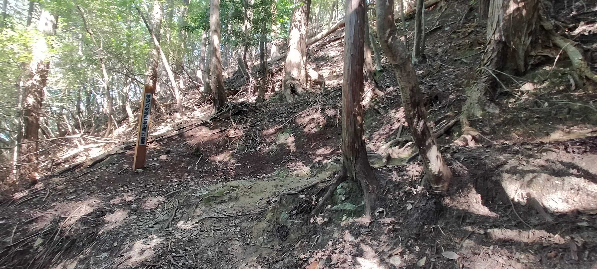 少し飛ばして6合目…少し急に…👣💦😅