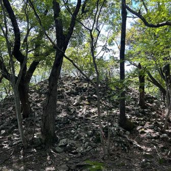 ここ登ったら山頂かなぁ