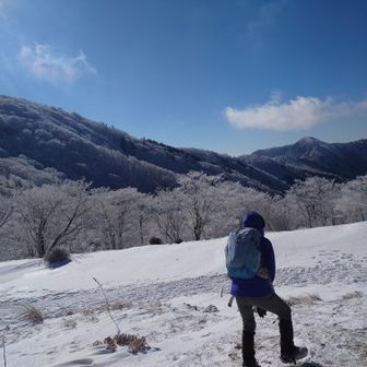 妻も大はしゃぎですが
ちょっと寒いらしいので