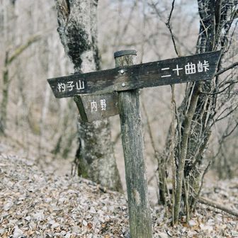 杓子へ
比較的歩きやすい