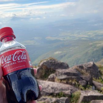 山頂コーラ