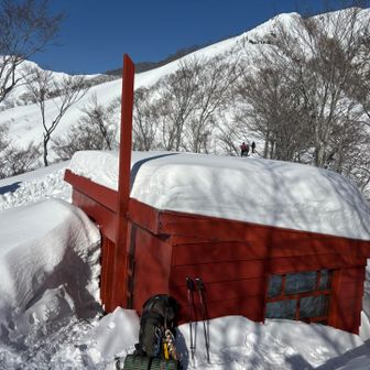 雪が少ないらしい