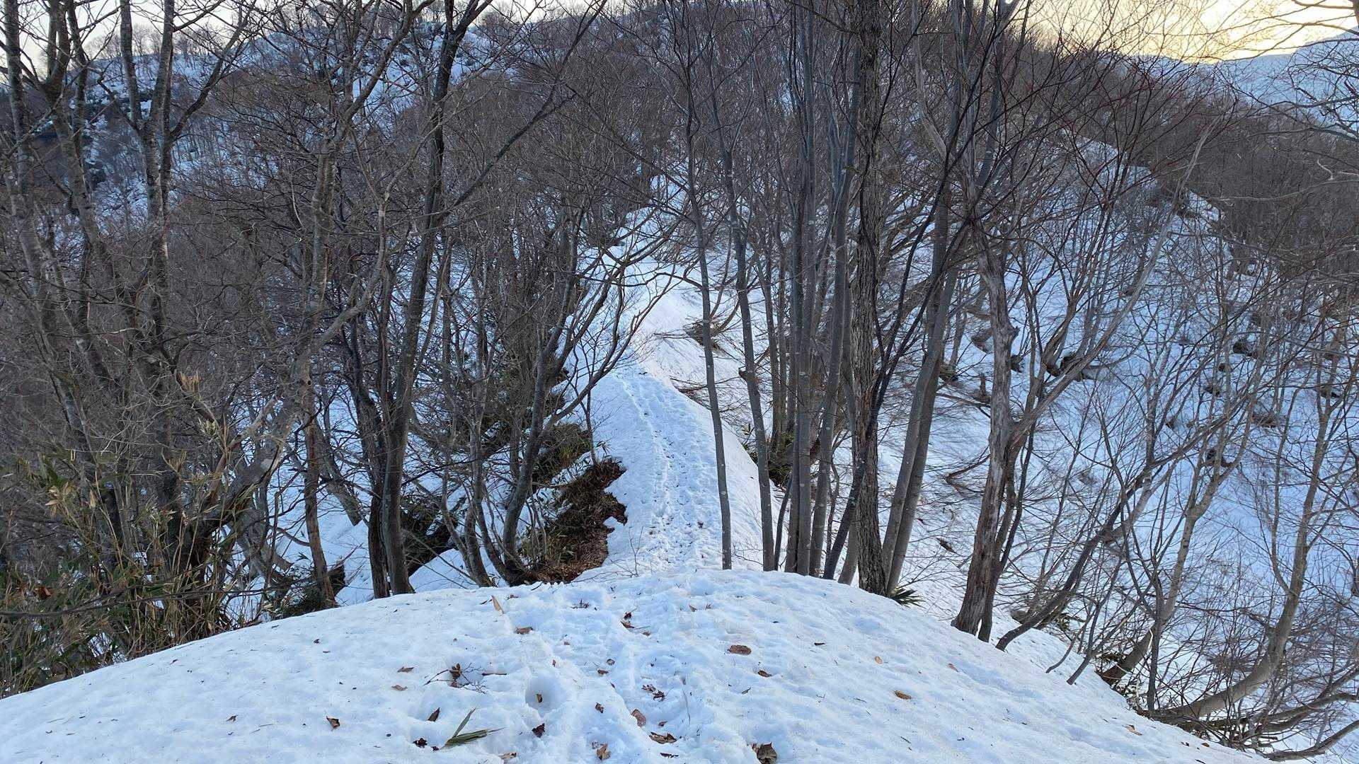 鍋倉山-大地山 往復コースの写真