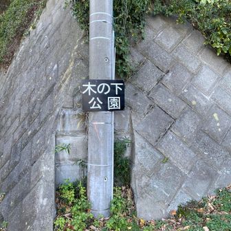 この右手にトイレ