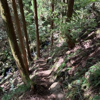黒滝への道は急な降り